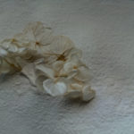 PLI-FBLN_Fleurs-blanches-lin-naturel