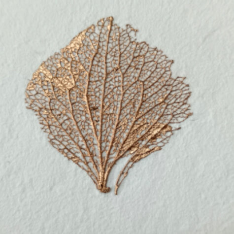 pétale hortensia dorure