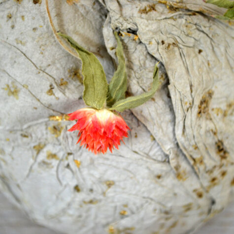 Sphère-florale-bokedenn-latelierdupapetier