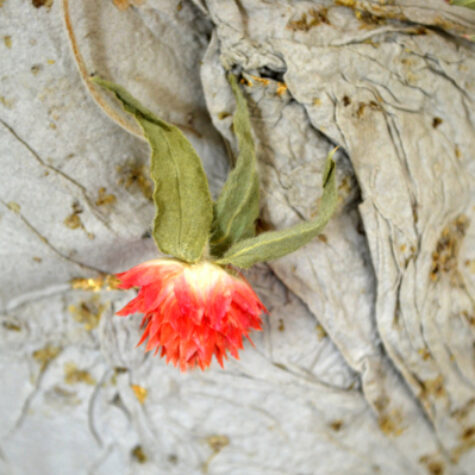 Sphère-florale-bokedenn-latelierdupapetier
